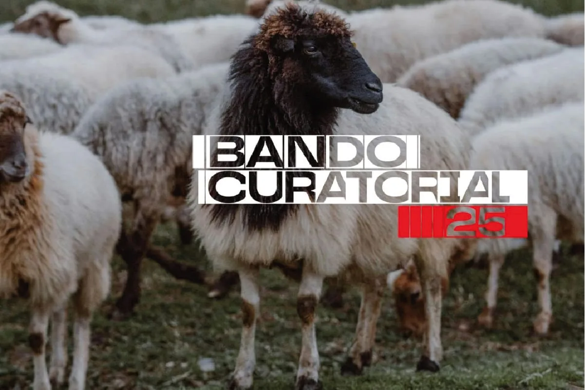 Bando Curatorial Veinticinco