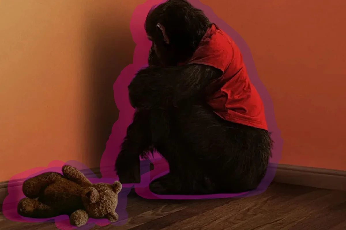 Primate