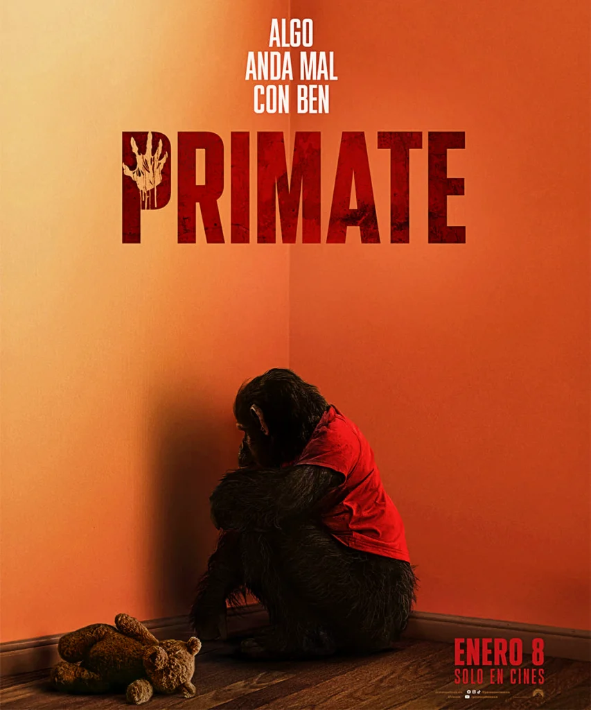 Primate