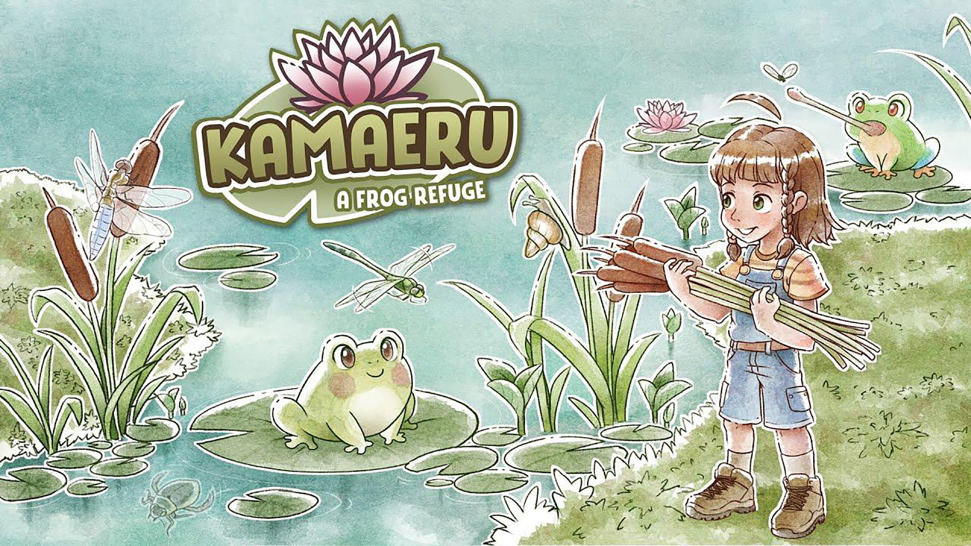 Kamaeru- A Frog Refuge