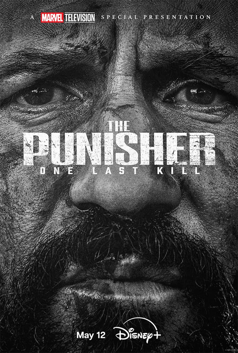 Punisher One Last Kill