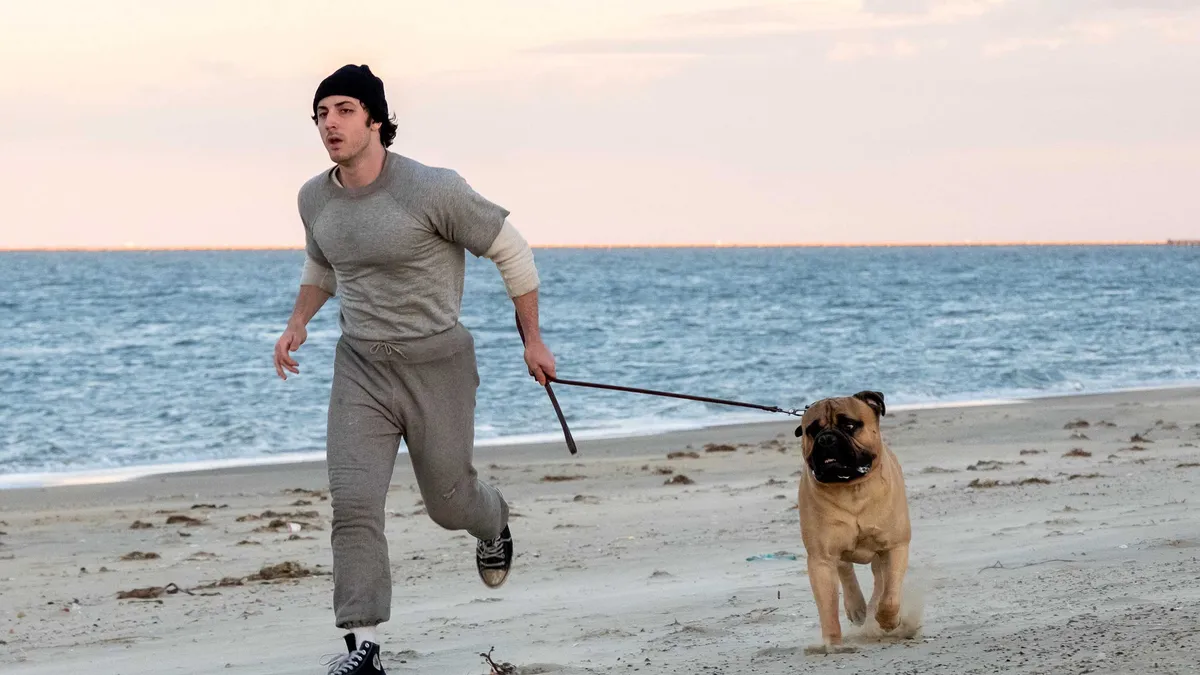 I Play Rocky Still Visdom